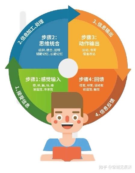 铁对儿童的作用及功能