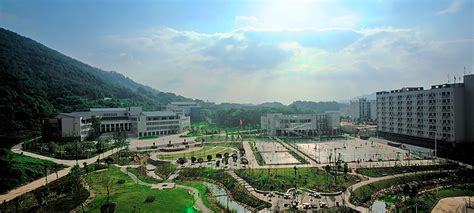 武汉学院的优势专业是什么意思,武汉大学电子信息专业好吗
