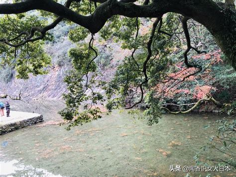 超越日本知名三大园林的栗林公园，被米其林评为三星得到世界认可