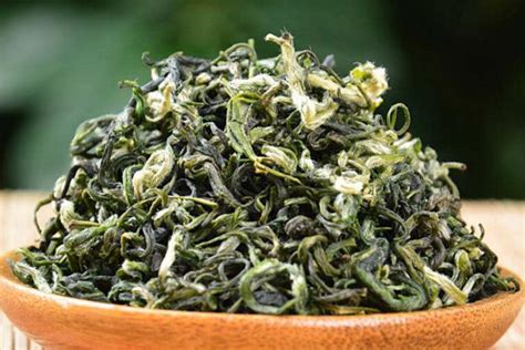 立顿绿茶是什么品种,绿茶长的是什么品种