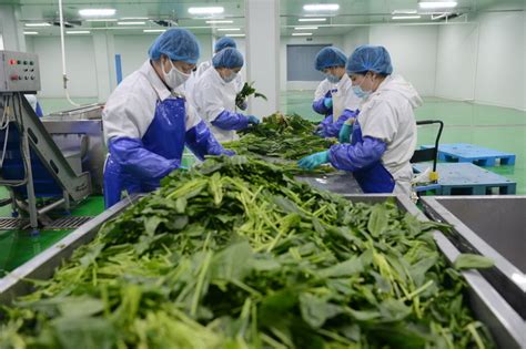 夏季蔬菜如何保鲜,电商蔬菜如何保鲜