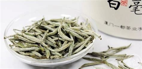 2018年的安吉白茶为什么白化程度不高,白茶为什么会提早白化