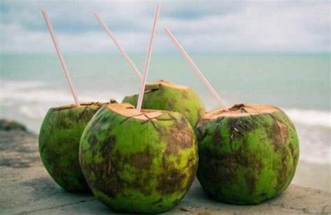 椰子水有什么营养啊?