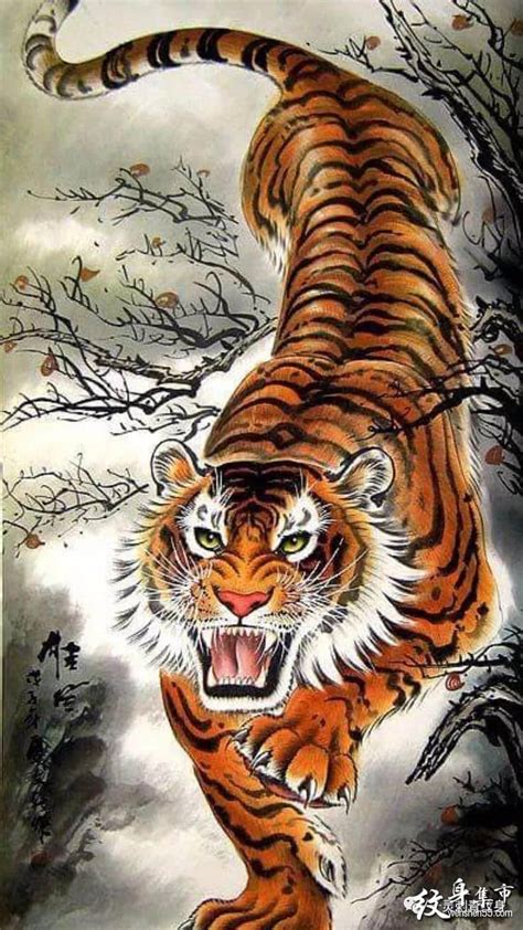 老虎满背写实纹身手稿,他是青岛顶流纹身师