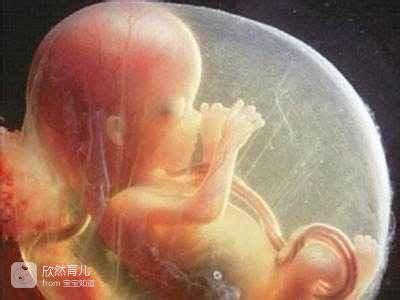 怀胎十月胎儿会想什么