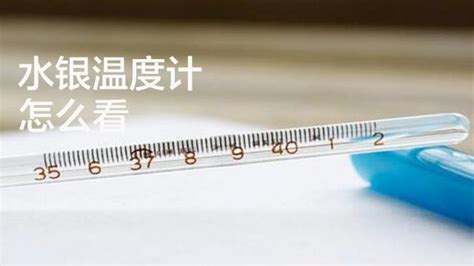 ampl什么意思及同义词