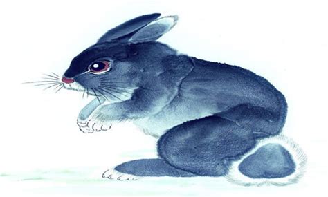属兔的和什么样的人比较合适,属兔的人最怕遇到什么样的人