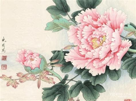 求畫一朵牡丹花的中國(guó)畫步驟