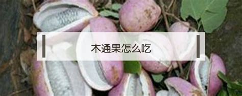 请问这是什么果实 能不能食用