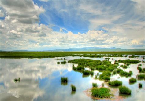 若尔盖花湖：中国最美的草原湿地