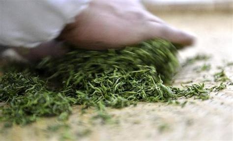 绿茶加工的主要工艺有哪些,茶类杂谈之绿茶