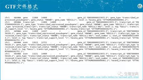 sqm是什么文件格式?