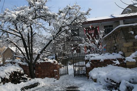 2018年的第一场雪_关于雪的作文600字【通用5则】