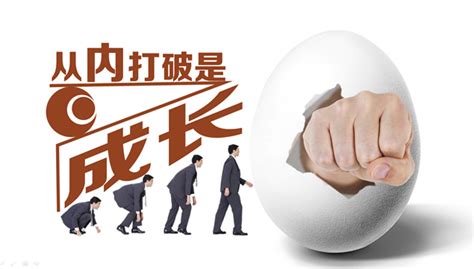 摔不破的鸡蛋-写物作文400字(合计7则)