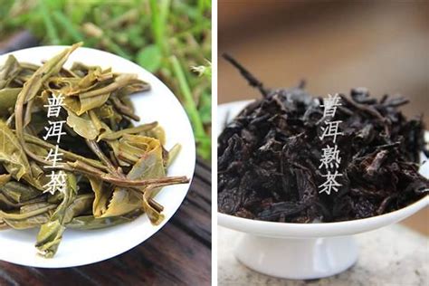 普洱茶陈香是什么味道,正宗普洱茶是什么味道