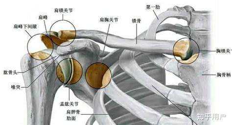 如何下载那些 69K在线影院的视频?详细一点!