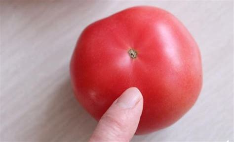 西红柿能怎么做好吃,西葫芦和西红柿怎么做好吃