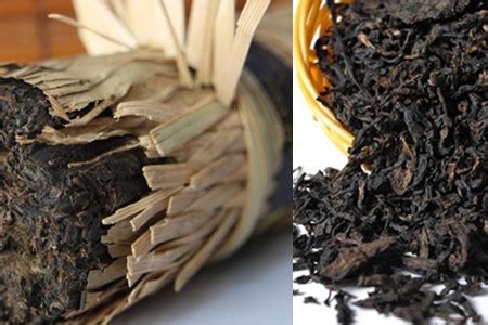 带你走进黑茶的制作工艺,黑茶是怎么制成的 有哪些制作工序