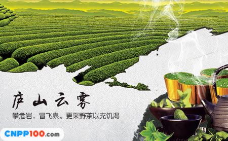 哪个牌子的庐山云雾,黄山毛峰茶和庐山云雾茶哪个更好喝