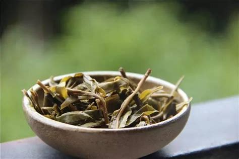 春茶 夏茶 秋茶哪个好,轻茶笔记第29期