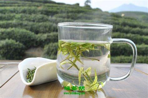 绿茶新茶要放多久喝,普洱生茶要存放多久才好喝