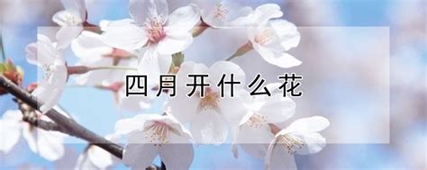 苏轼【蝶恋花】翻译