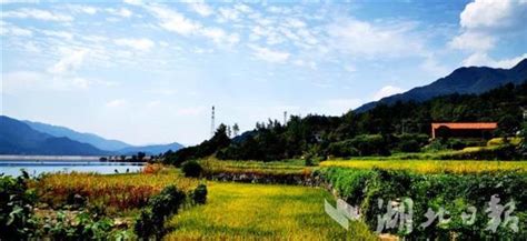 英山是哪个市
