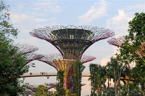 新加坡城市景观；翠城新景、金沙酒店、花园及南洋理工大学等