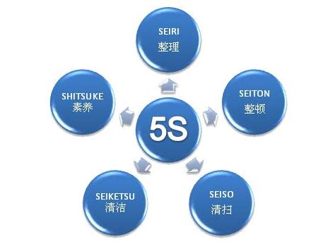 小学300字议论文 心得体会模板