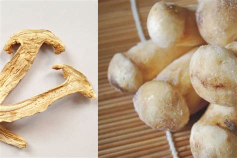 新鲜 松茸菌 可以冷冻吗 分享松茸保鲜的各类方法