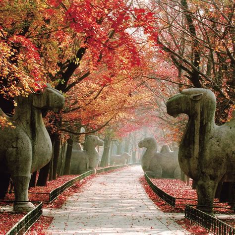 一叶便知金陵秋，一到秋天，南京就美成了金陵
