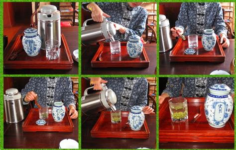 跟我学习碧螺春茶冲泡法,碧螺春冲泡置茶一般采用什么方法