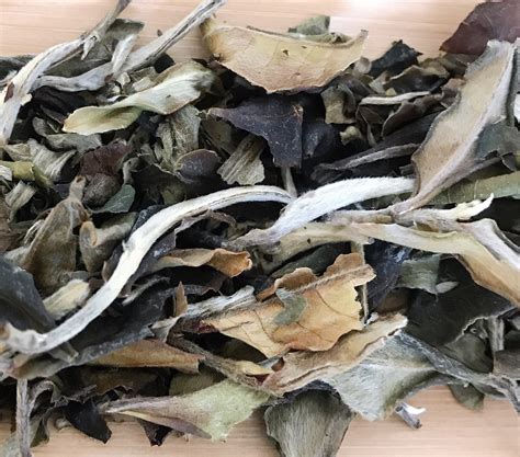 巴蜀为什么是中国茶叶的摇篮,一部中国茶的历史