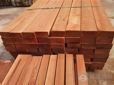 广东适合种什么木材,这样珍贵的木材