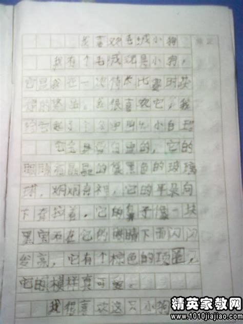 小狗-小动物作文200字【摘抄6则】
