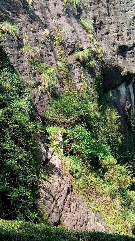 想买正宗大红袍,如何区分武夷山大红袍真假