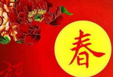 交流会来了-春节记事作文550字（合计8篇）