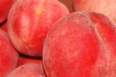 孕妇能吃桃子和油桃吗