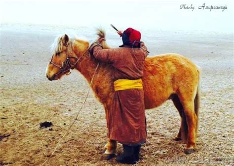 蒙古人100张图片