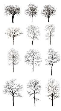 树形图片模板,你喜欢哪种树形