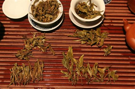 古树红茶与普洱茶价格哪个贵,买保健品不如买古树普洱茶