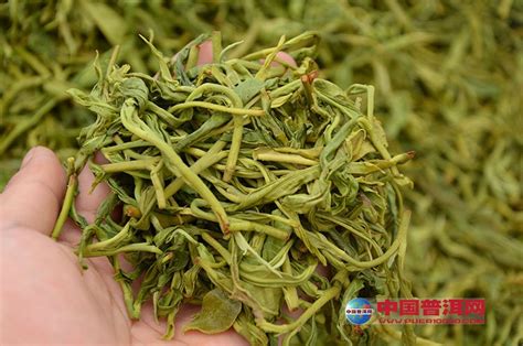 什么茶叶叫做青茶,绿茶和青茶啥区别