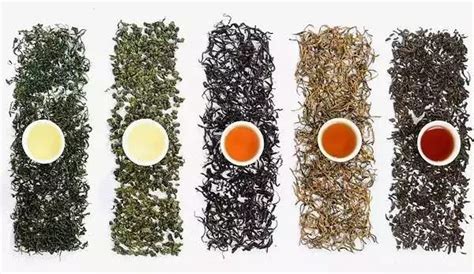 怎么区分绿茶,如何辨别新旧绿茶