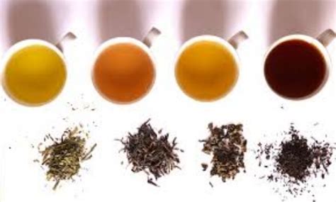 云南省茶有哪些种类,六大茶类代表名茶有哪些
