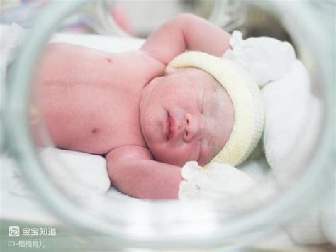 早产儿与足月儿视力发育