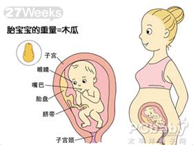 孕期产检胎儿发育注意事项