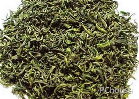 崂山绿茶什么样的最好,最好的崂山绿茶多少钱一斤