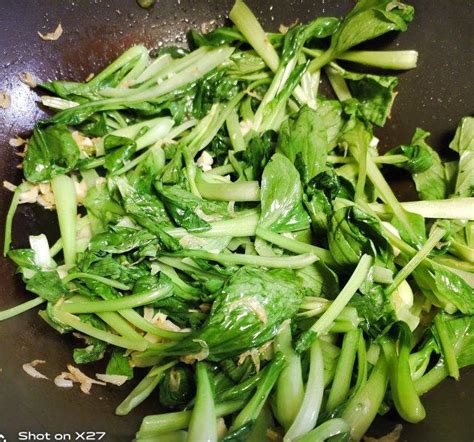 新鲜鲍鱼炒青菜怎么做好吃,鲍鱼的家常做法有哪些