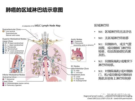 影响优生优育的遗传因素