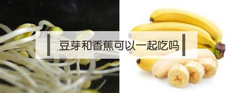 弥豆子秒杀堕姬,豆子怎么猜